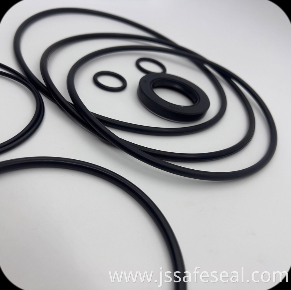 53 Swing Motor Seal Kit